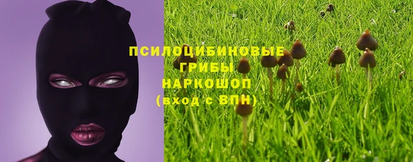 дмт Абинск